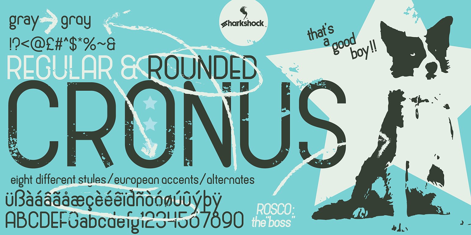 Cronus Font Review: A Friendly Sans Serif for Campaigns